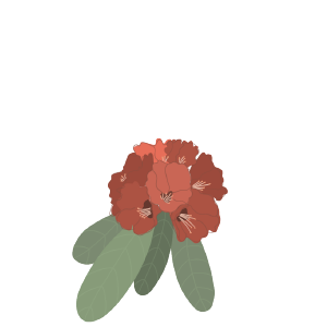 Spring Icon