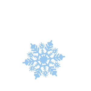 Winter Icon